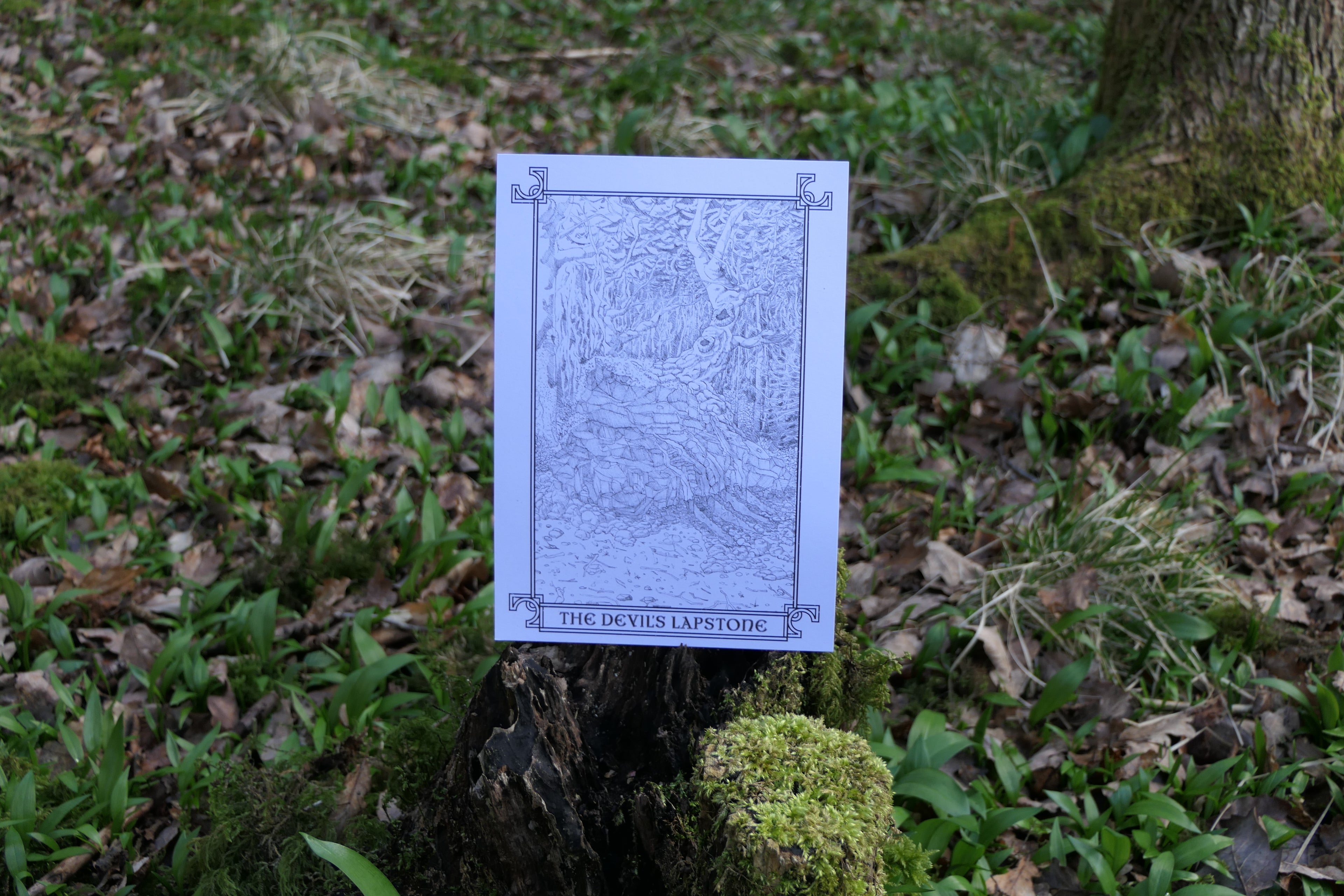 Devil’s Lapstone Print